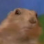 djosefejnH