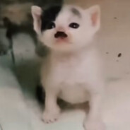 Adolf Kitler