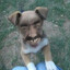 xxclusiv0's avatar