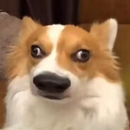 她说人多以为有我