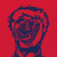 qwakick&#039;bola