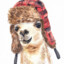 _LLLAMA_