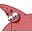 Patrick
