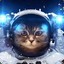 CosmicCatto