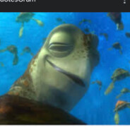 mr.turtle- - steam id 76561199034487768