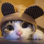 一億米長的大雞巴