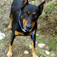 不听不听 蛤蟆念经