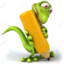 Lizard Marker