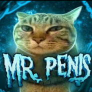 Mr. Pen1s