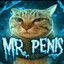 Mr. Pen1s
