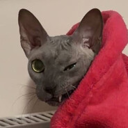 SlepoiYrod