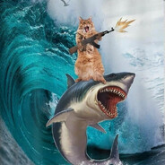 надо было кормить