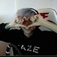 小熊猫和小白免