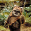 Ethical Ewok