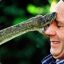 TunnelSnake