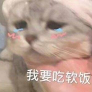 小尾巴的小闹许