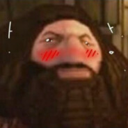 h4gr1s avatar