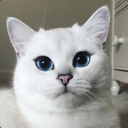 Cet avatar