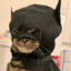 Catman