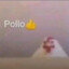 Pollo