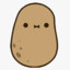 Potato