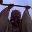 Tusken Raider