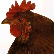 母鸡我狠狠测你狠狠叫