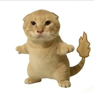WJIAYOU