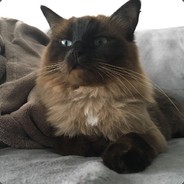 Timeghoul - steam id 76561197970582205