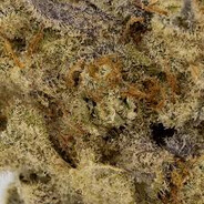 1GRAmmm