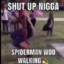 SpiderManWooWalkin