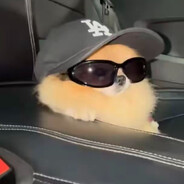 Am Nям