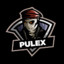 PuleX