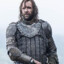 SANDOR CLEGANE