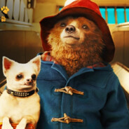 paddington