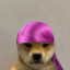 dog with durag