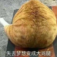 旗圣·手枪腿子