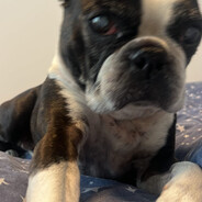 LucaTr1nka- - steam id 76561199059514898