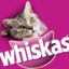 Whiskas