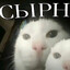 сырнеке