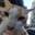 HAFEZ_GAMER
