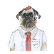 保安队第一老六