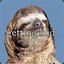 slothy