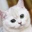 Diamond_
