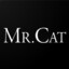 Mr Cat