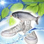 Avatar of Foxin_Sox