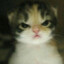 wecors's avatar