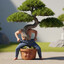 UndressBonsai