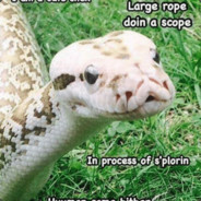 snek