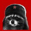 Mapache Comunista☭